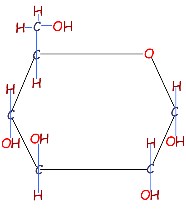 glucose molecule